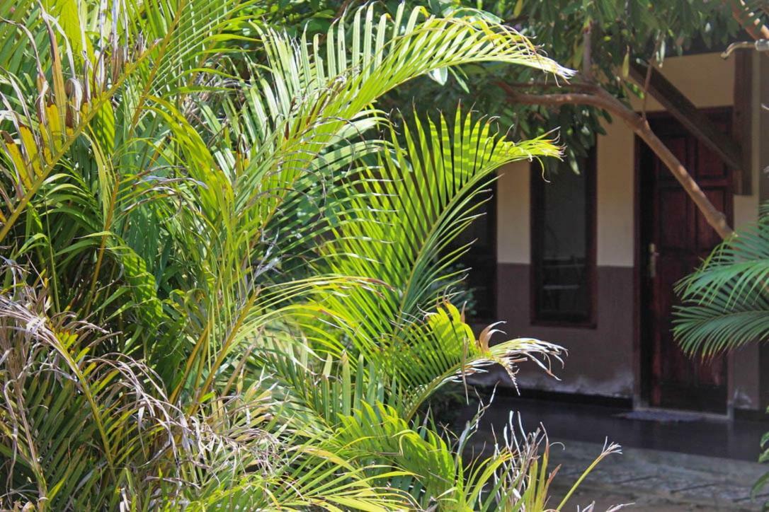 Harrys Oceanhouse 2 Pacitan Apartment Exterior foto